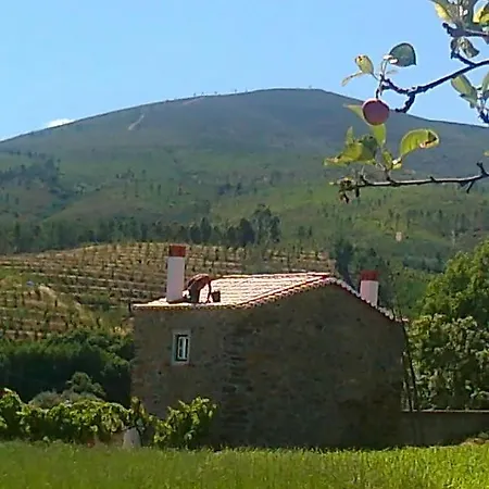 בית נופש Casa Do Salgueiral *