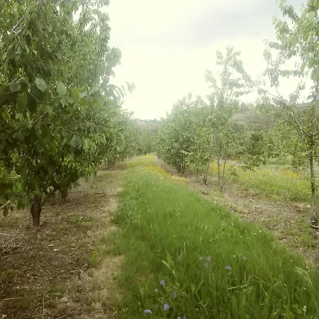 בית נופש Casa Do Salgueiral *