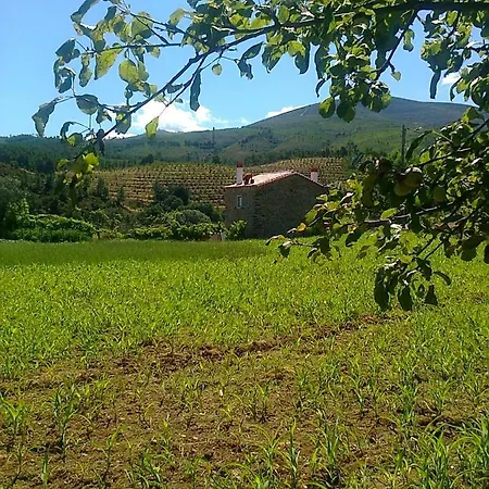בית נופש Casa Do Salgueiral