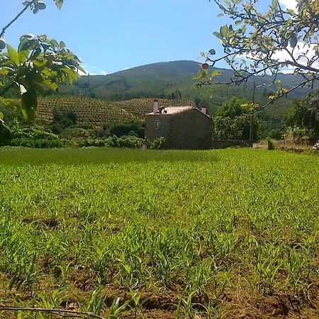 Casa Do Salgueiral Fundão
