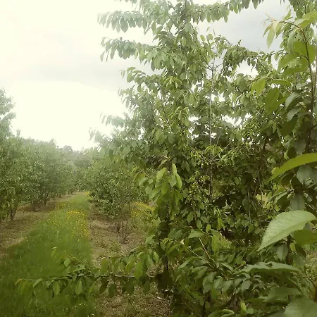 Casa Do Salgueiral בית נופש Fundão
