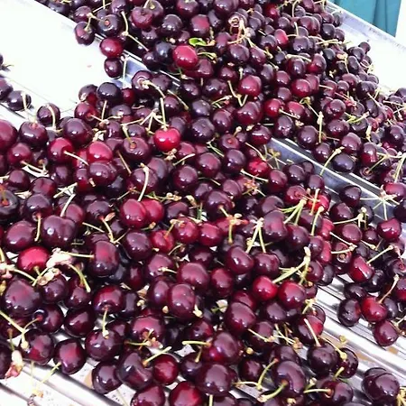 בית נופש Casa Do Salgueiral *