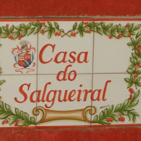 Дом отдыха Casa Do Salgueiral Фундан
