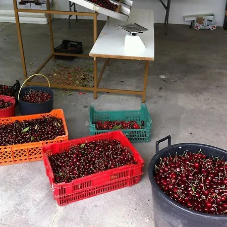 Casa Do Salgueiral Fundão