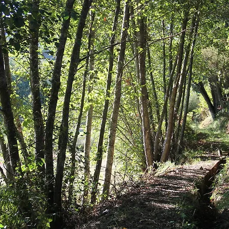 בית נופש Casa Do Salgueiral *