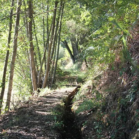 בית נופש Casa Do Salgueiral Fundão