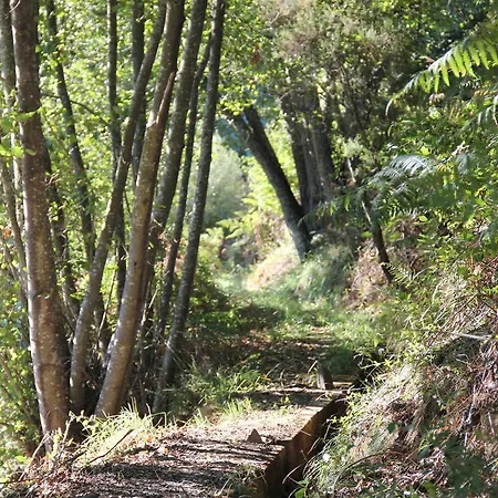 בית נופש Casa Do Salgueiral