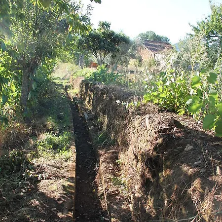 בית נופש Casa Do Salgueiral *
