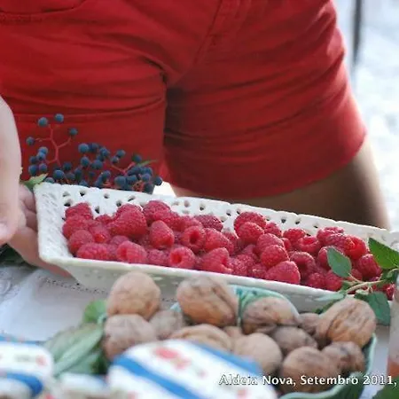 Casa Do Salgueiral *