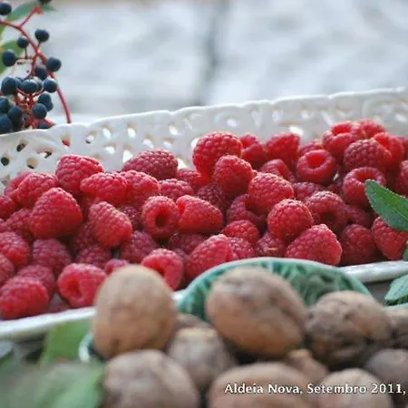בית נופש Casa Do Salgueiral *