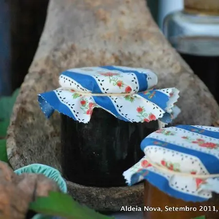 Casa Do Salgueiral Fundão