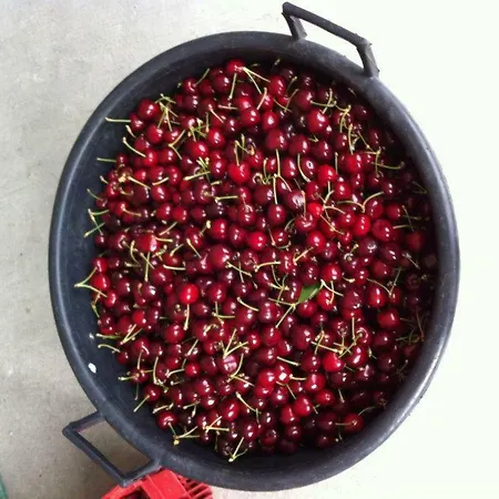 בית נופש Casa Do Salgueiral