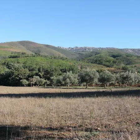 Casa Do Salgueiral Fundão