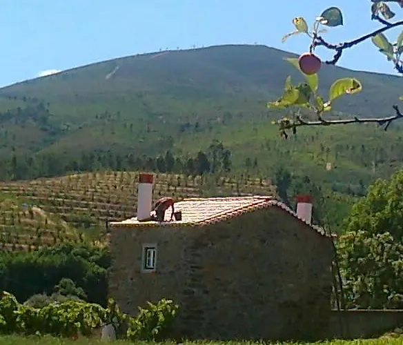 Prázdninový dům Casa Do Salgueiral *