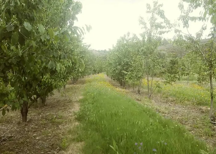 Prázdninový dům Casa Do Salgueiral *