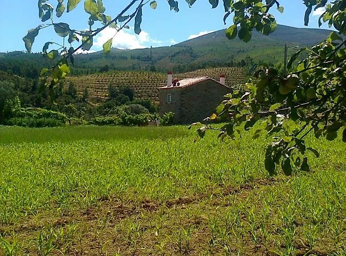 Prázdninový dům Casa Do Salgueiral