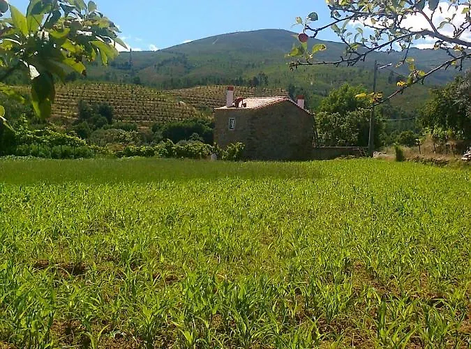 Casa Do Salgueiral Fundão