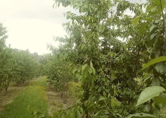 Casa Do Salgueiral Prázdninový dům Fundão