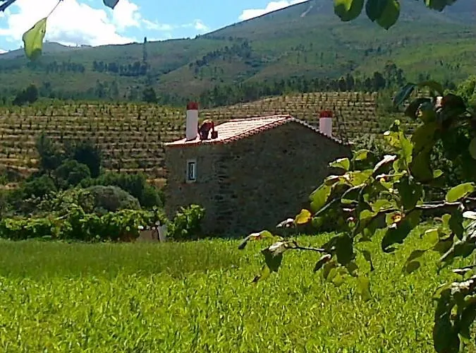 Casa Do Salgueiral Fundão