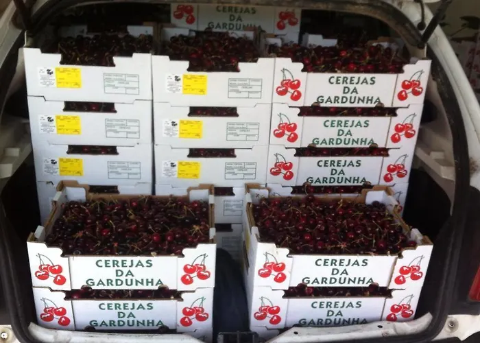 Casa Do Salgueiral Prázdninový dům