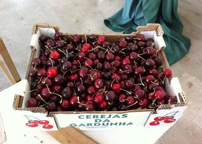 Casa Do Salgueiral * Fundão