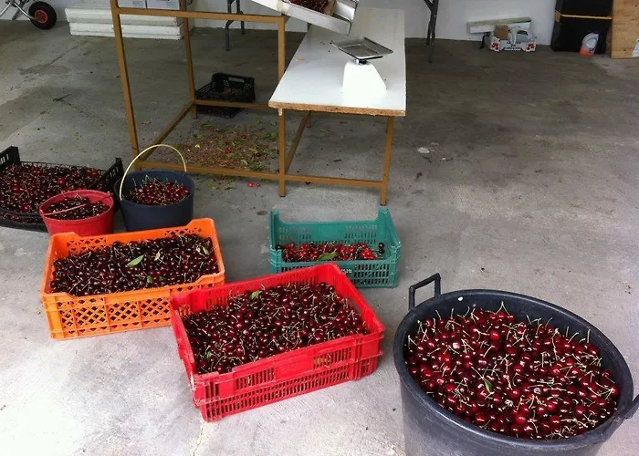 Casa Do Salgueiral Fundão