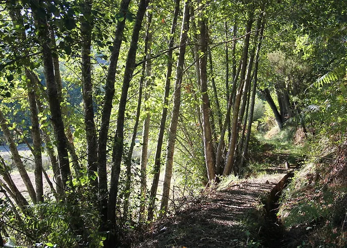 Prázdninový dům Casa Do Salgueiral *