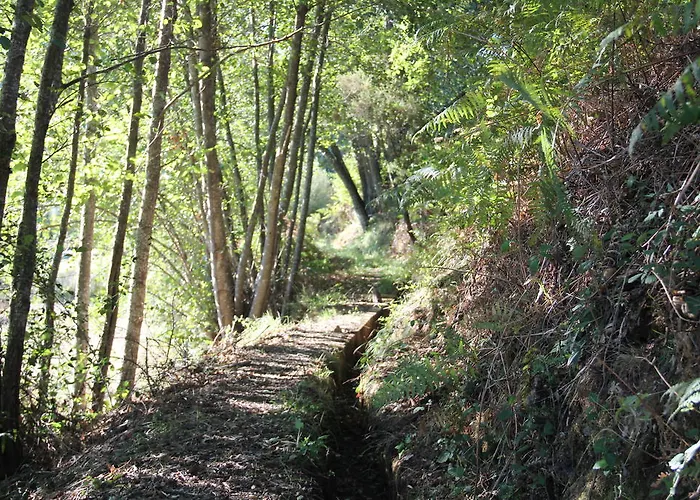 Prázdninový dům Casa Do Salgueiral Fundão