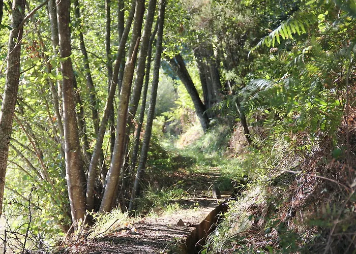 Prázdninový dům Casa Do Salgueiral