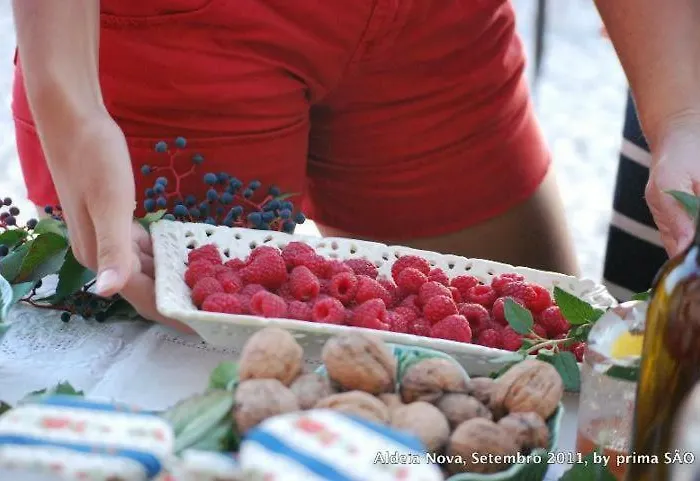 Casa Do Salgueiral *