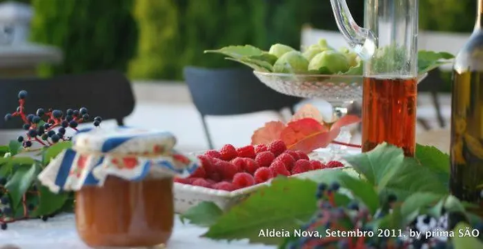 Casa Do Salgueiral * Fundão