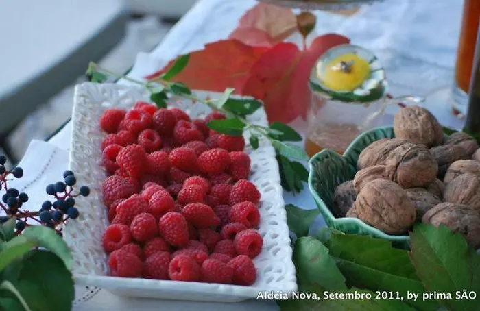 Casa Do Salgueiral Fundão