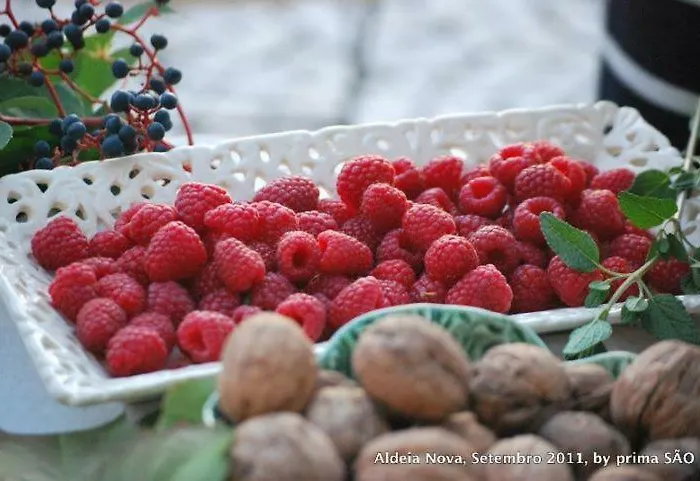 Prázdninový dům Casa Do Salgueiral *