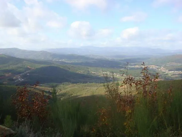 Casa Do Salgueiral * Fundão