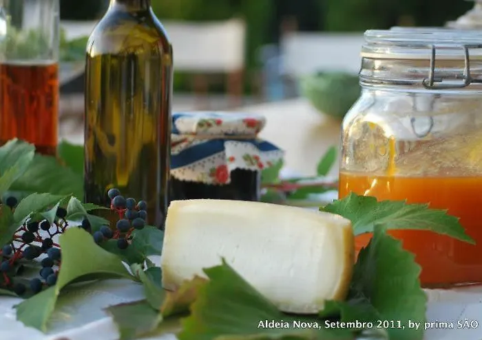 Casa Do Salgueiral Prázdninový dům Fundão