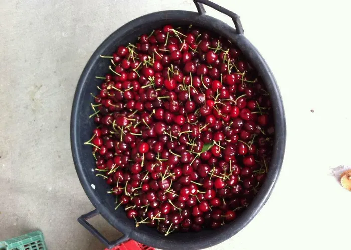 Prázdninový dům Casa Do Salgueiral