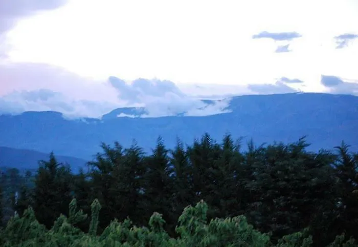 Prázdninový dům Casa Do Salgueiral