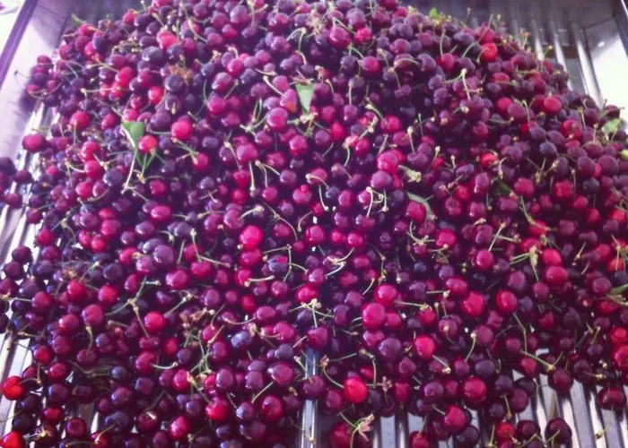 Casa Do Salgueiral Prázdninový dům Fundão