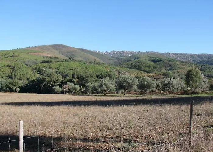 Casa Do Salgueiral Fundão