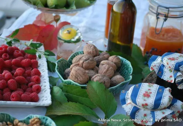 Casa Do Salgueiral *